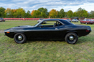 Barracuda