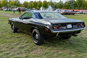 Barracuda
