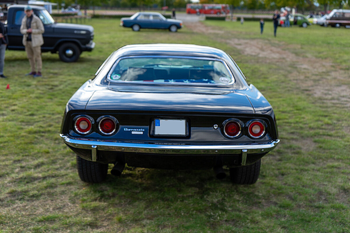 Barracuda