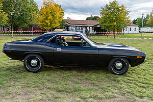 Barracuda