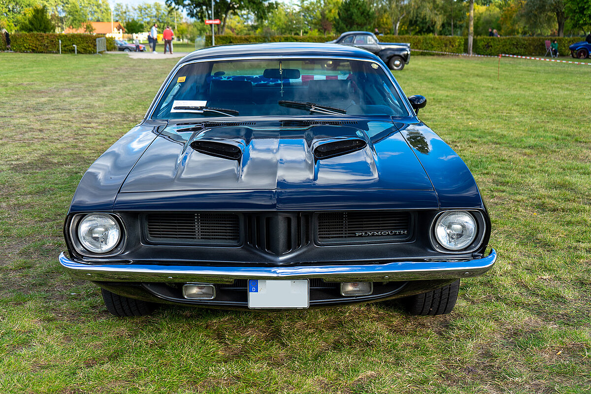 Barracuda