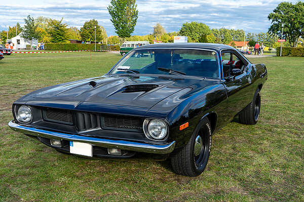 Barracuda